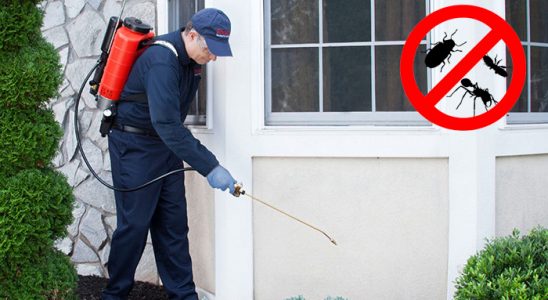 Kırıkhan Dezenfeksiyon böcek ilaçlama ve haşere kontrolü — ilaclama-tr.com